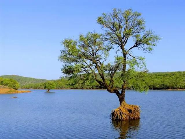 Venna Lake — photo 1