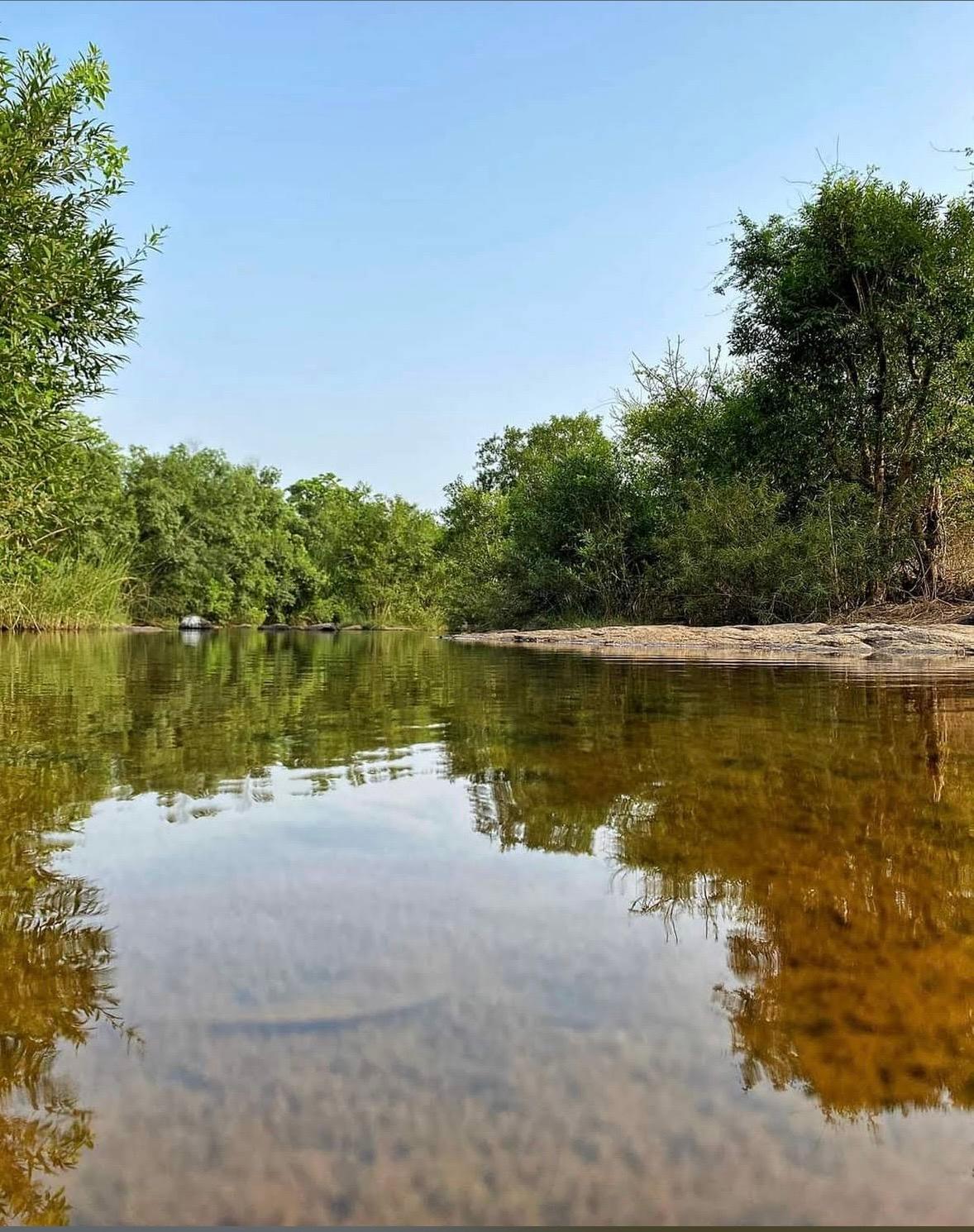 Kolad (Kundalika Riverside Camping) — photo 1