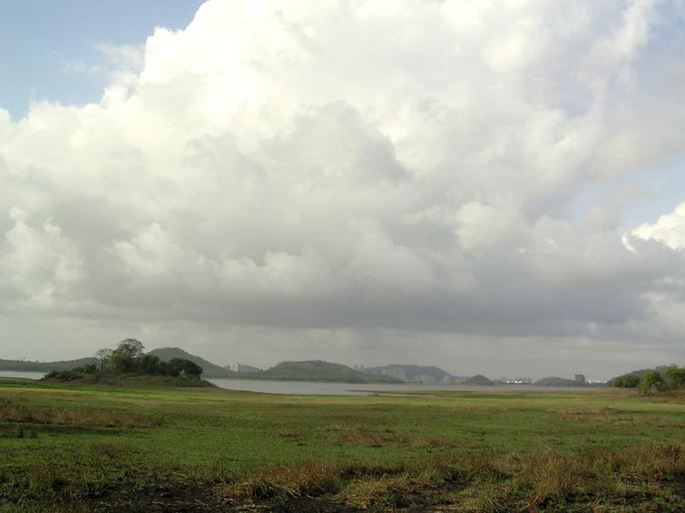 Vihar Lake — photo 3