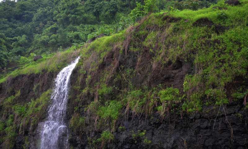 Pandavkada Falls — photo 3