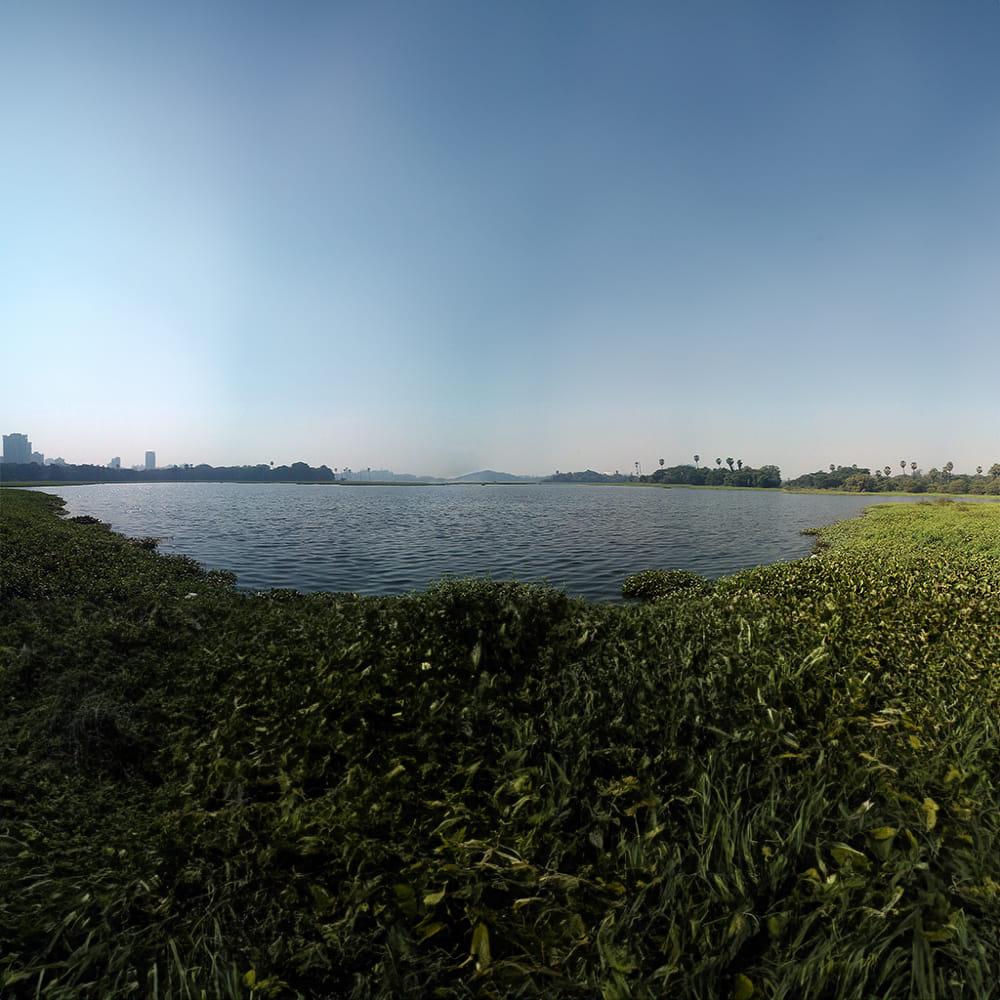 Powai Lake — photo 5