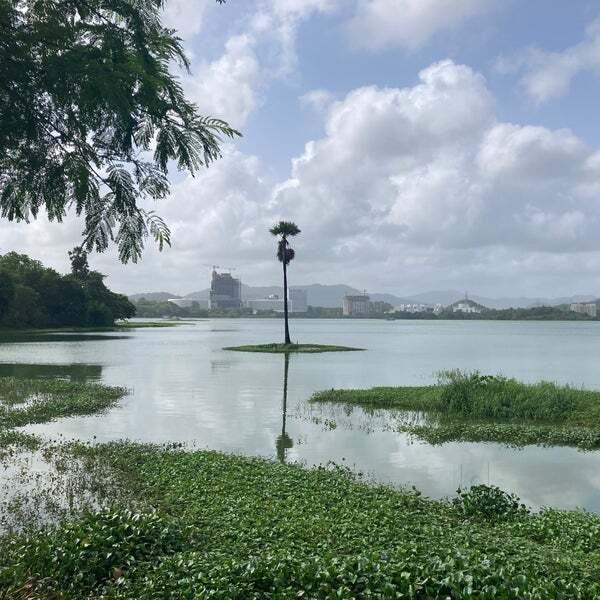 Powai Lake — photo 4