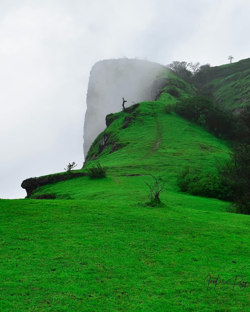 Duke's Nose (Nagphani) — photo 2