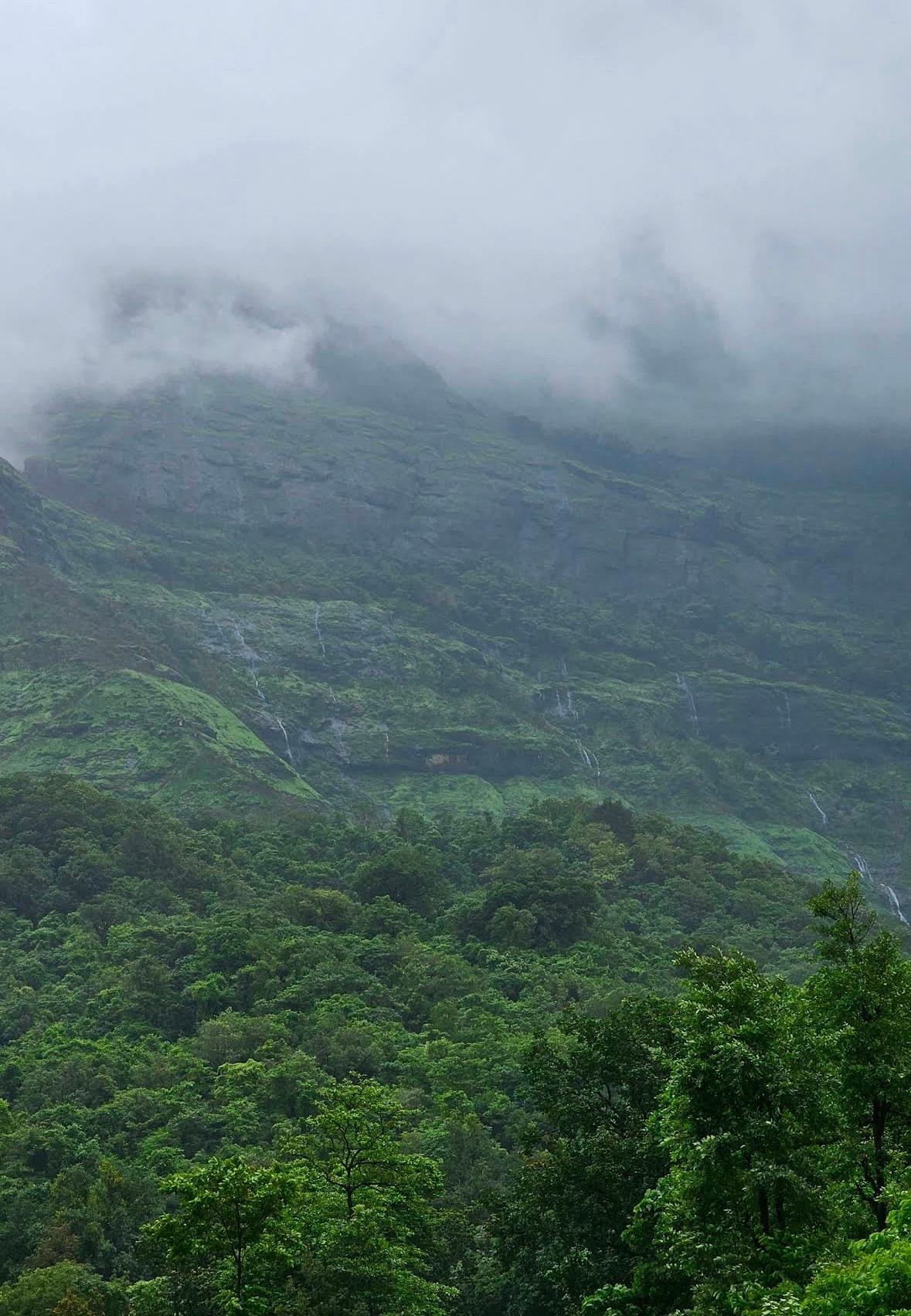 Malshej Ghat — photo 3