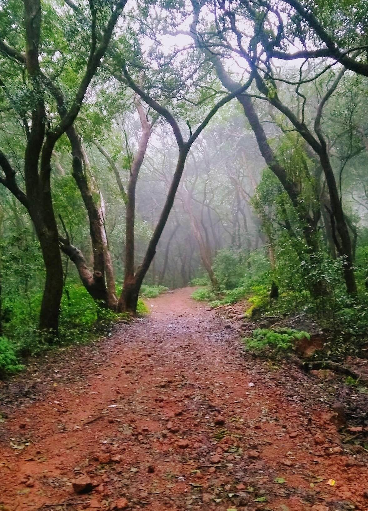 Panorama Point, Matheran — photo 5
