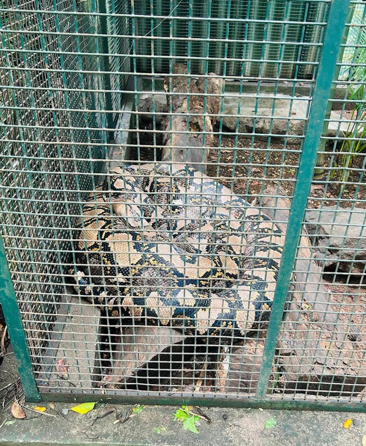 Rajiv Gandhi Zoological Park (Katraj Zoo) — photo 5