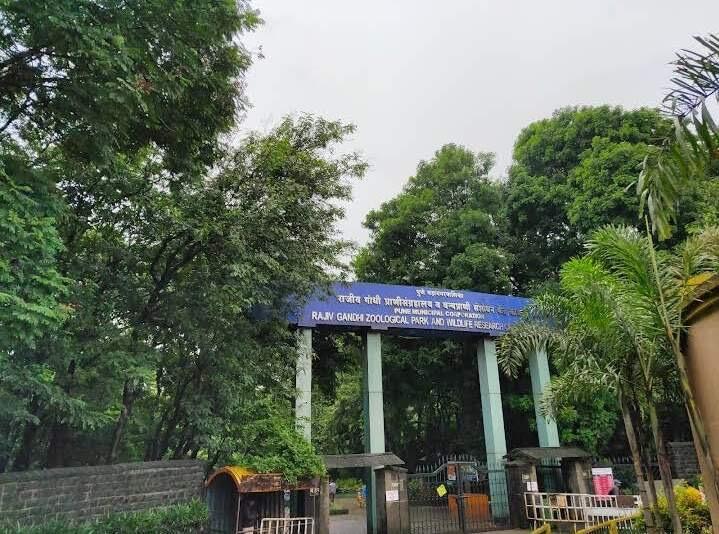 Rajiv Gandhi Zoological Park (Katraj Zoo) — photo 2