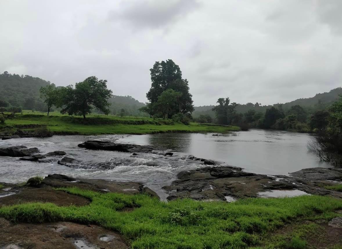 Kolad (Kundalika Riverside Camping) — photo 2