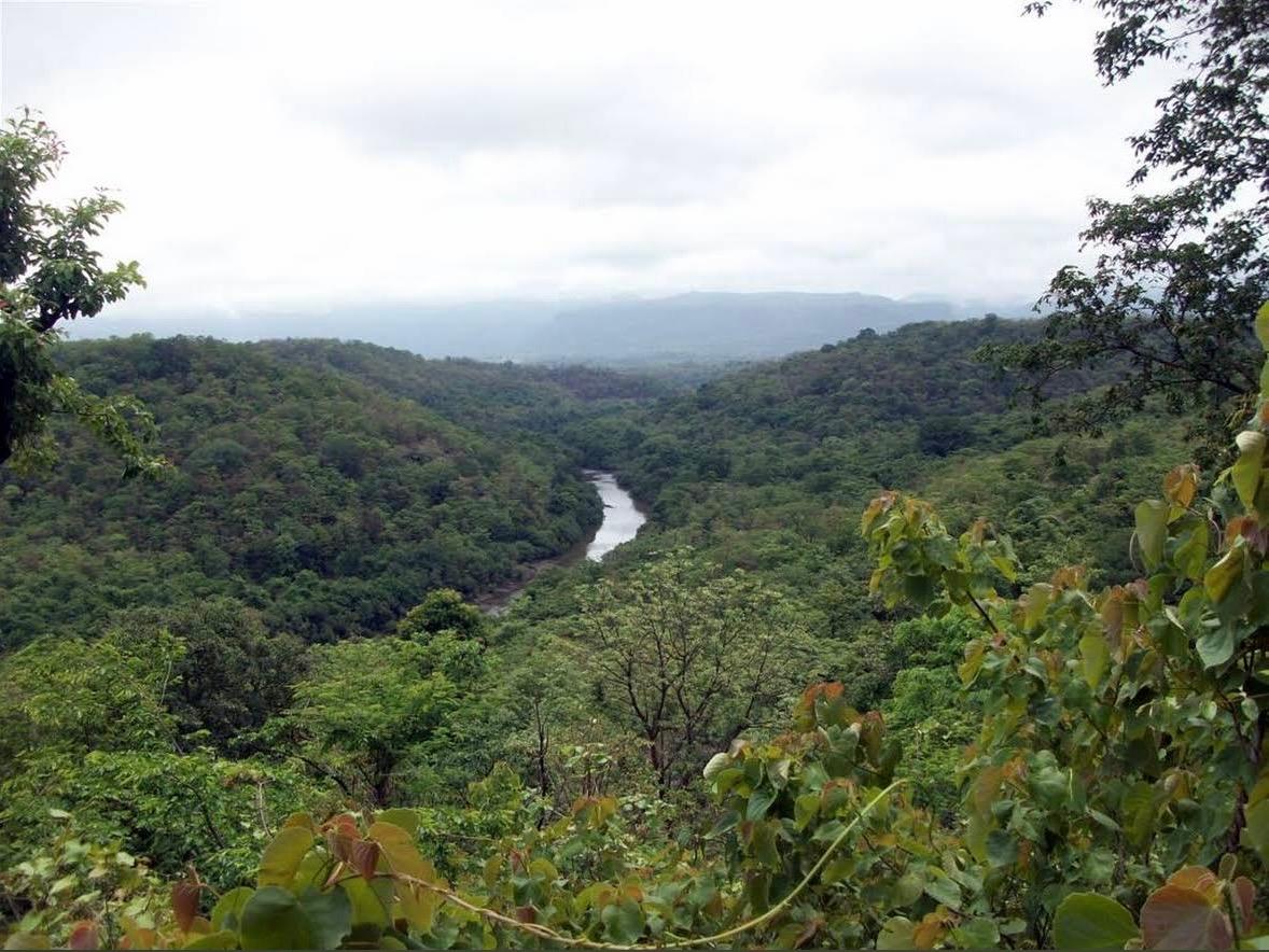 Kolad (Kundalika Riverside Camping) — photo 4