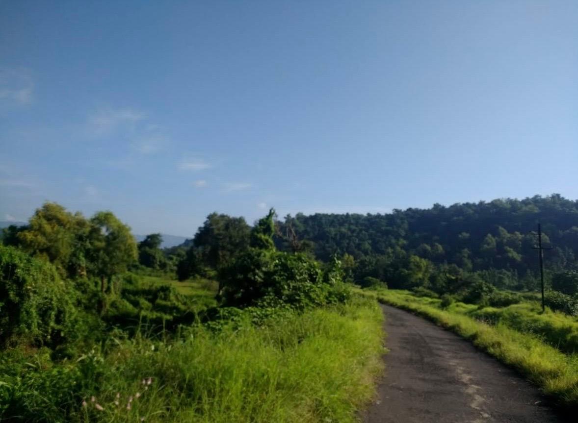 Kolad (Kundalika Riverside Camping) — photo 3